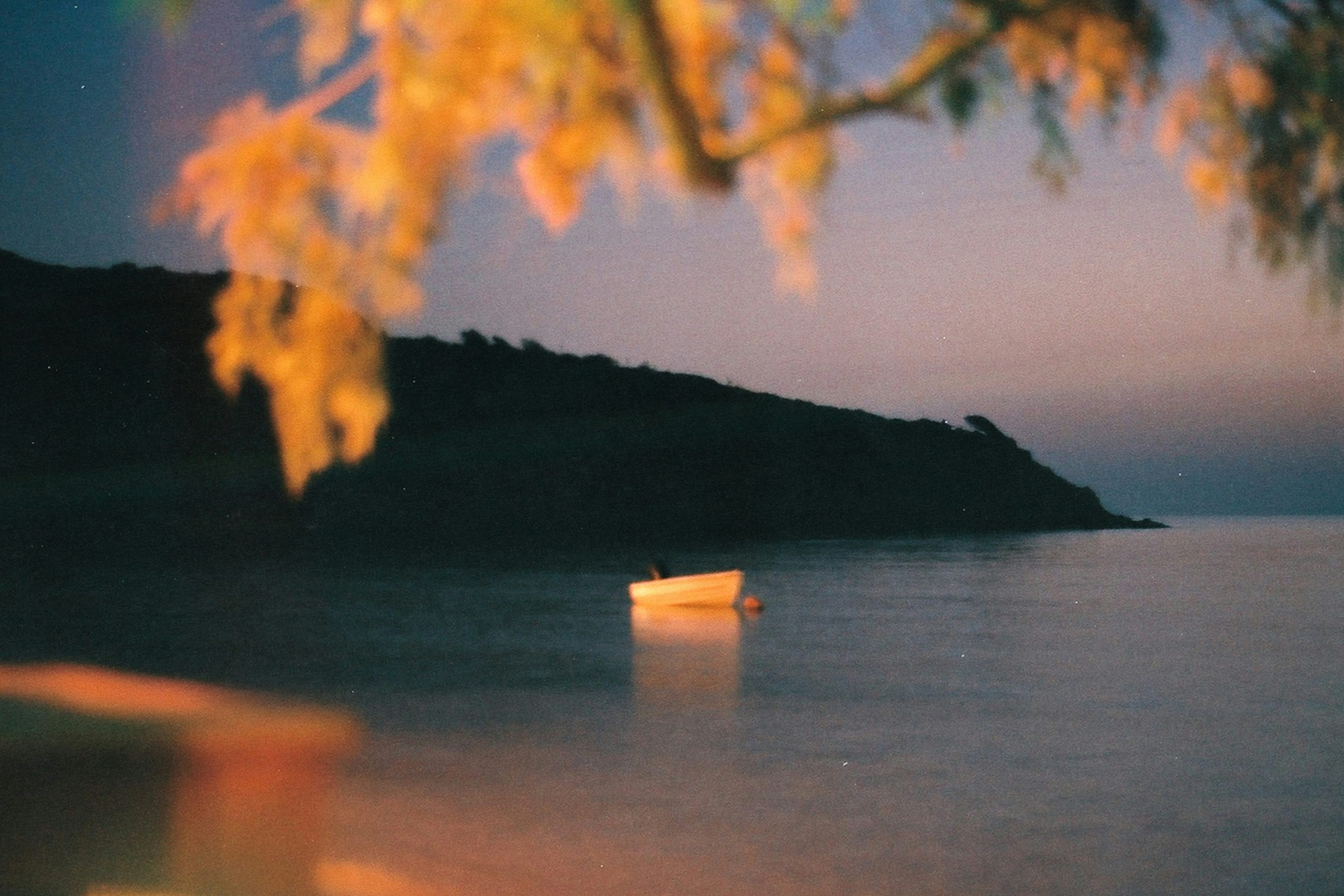 Photo by Ihor Malytskyi on Unsplash.  Find them at https://unsplash.com/@ihor_malytskyi.  